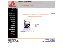 Tablet Screenshot of anametcanada.com
